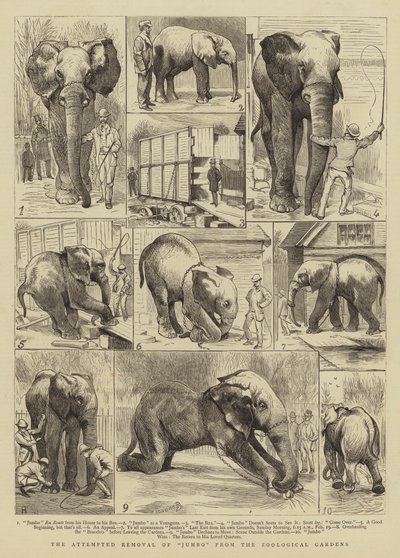 The Attempted Removal of Jumbo from the Zoological Gardens by Alfred Chantrey Corbould